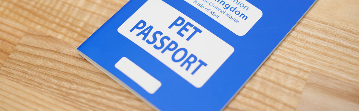 Brexit – travelling with your pet